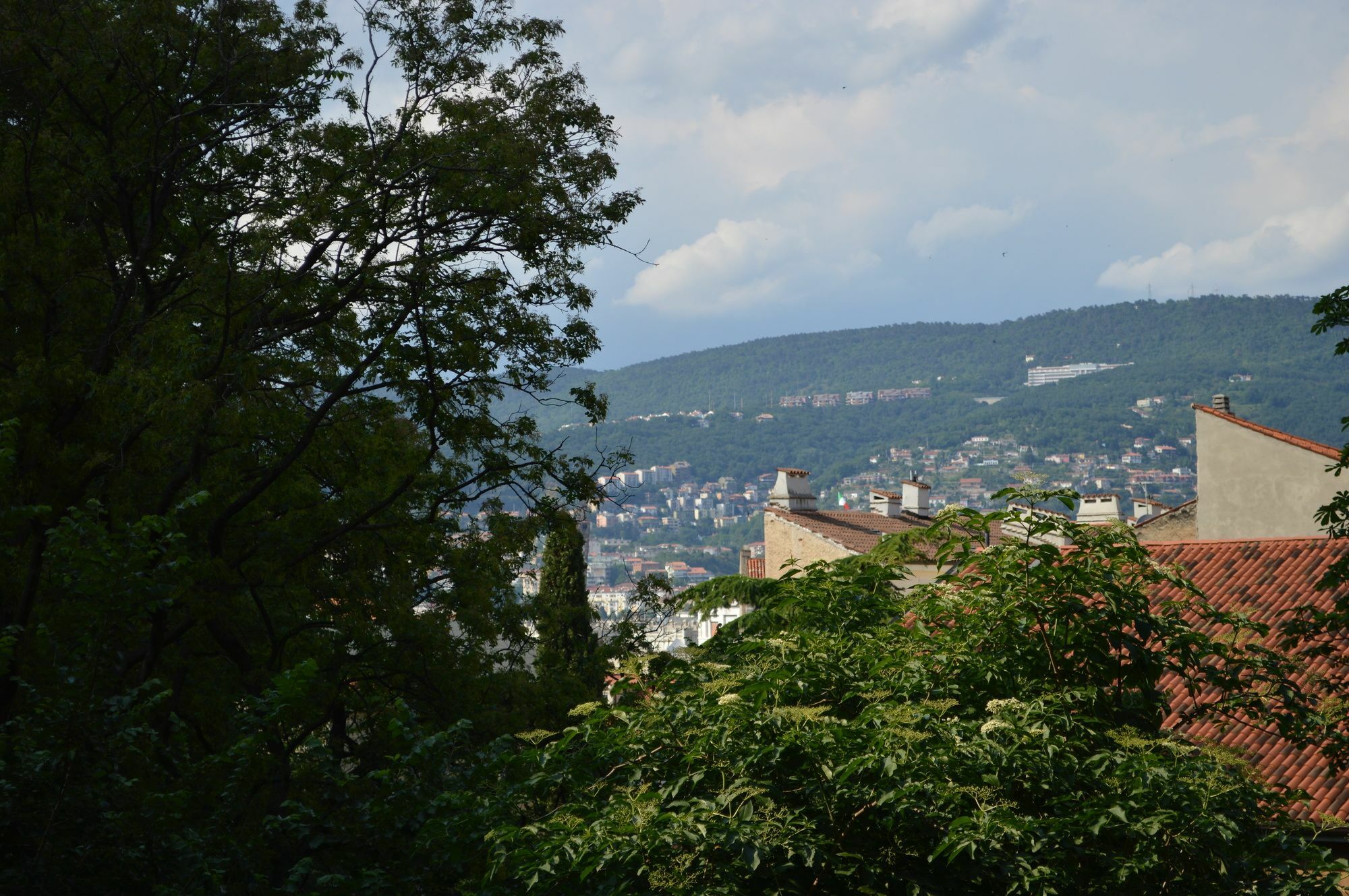 Casa Vacanze All'Angolo Trieste Exterior foto